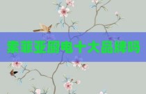 索菲亚厨电十大品牌吗