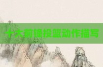 十大前锋投篮动作描写