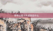 爱情公寓十大道具是什么