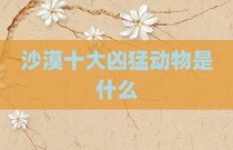 沙漠十大凶猛动物是什么