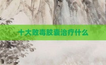 十大败毒胶囊治疗什么