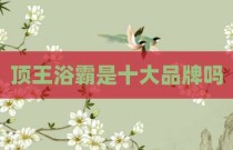 顶王浴霸是十大品牌吗