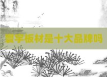 寰宇板材是十大品牌吗