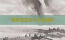 斯威克轮胎十大名牌吗