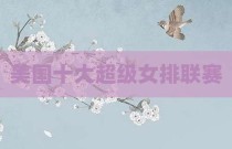 美国十大超级女排联赛