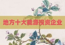 地方十大能源投资企业