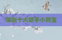 深圳十大歌手小阿宝