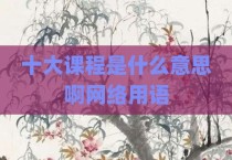 十大课程是什么意思啊网络用语
