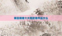 莆田摆摊十大爆款事件是什么