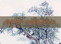 养鸭的十大缺点是什么