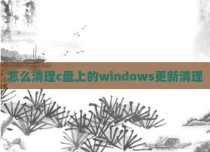 怎么清理c盘上的windows更新清理