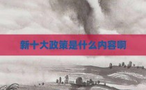 新十大政策是什么内容啊