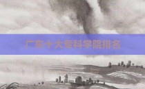 广东十大专科学院排名