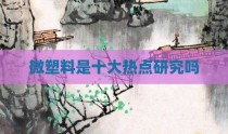 微塑料是十大热点研究吗