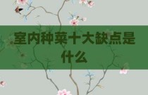 室内种菜十大缺点是什么
