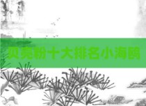 贝壳粉十大排名小海鸥