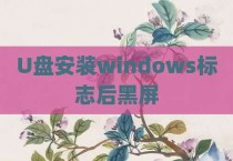 U盘安装windows标志后黑屏