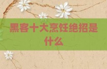 黑客十大烹饪绝招是什么