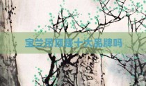 宝兰吊顶是十大品牌吗