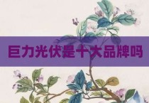 巨力光伏是十大品牌吗
