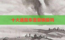 十大通股东是禁销股吗