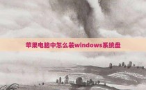 苹果电脑中怎么装windows系统盘