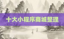 十大小程序商城整理