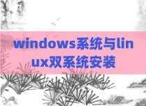 windows系统与linux双系统安装