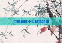 中国教辅十大畅销品牌