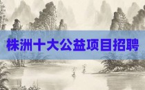 株洲十大公益项目招聘