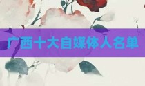 广西十大自媒体人名单