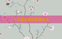 十大魔兵的故事是什么