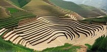 河北十大贫困区有哪些
