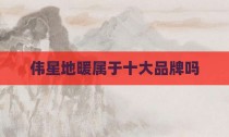 伟星地暖属于十大品牌吗