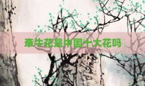 牵牛花是中国十大花吗