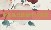 水龙头过滤器十大名牌