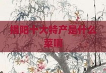 揭阳十大特产是什么菜啊