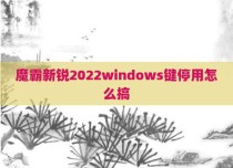 魔霸新锐2022windows键停用怎么搞