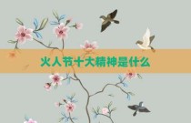 火人节十大精神是什么