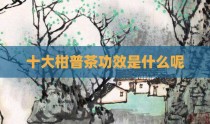 十大柑普茶功效是什么呢