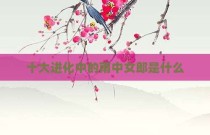 十大进化中的雨中女郎是什么