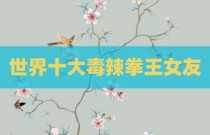 世界十大毒辣拳王女友