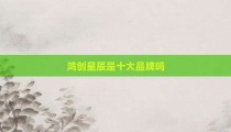 鸿创星辰是十大品牌吗
