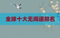全球十大无间道排名