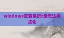 windows安装系统c盘无法格式化