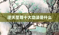 逆天至尊十大功法是什么