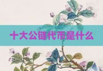 十大公链代币是什么