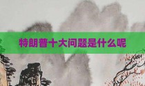 特朗普十大问题是什么呢
