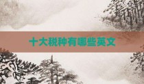 十大税种有哪些英文