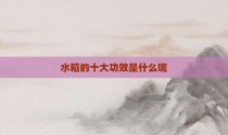 水稻的十大功效是什么呢